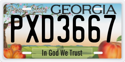 GA license plate PXD3667