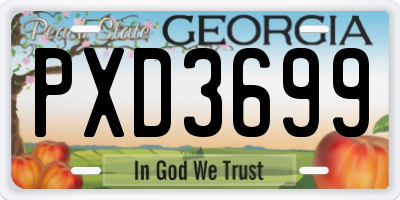 GA license plate PXD3699