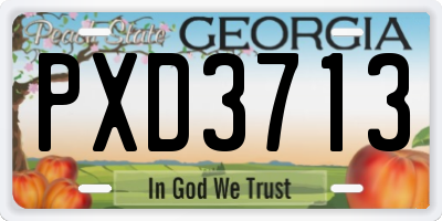 GA license plate PXD3713