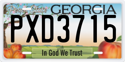GA license plate PXD3715