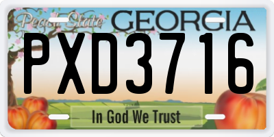GA license plate PXD3716