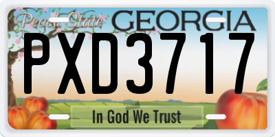 GA license plate PXD3717