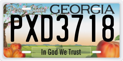 GA license plate PXD3718
