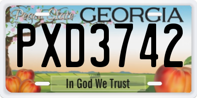 GA license plate PXD3742
