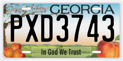 GA license plate PXD3743