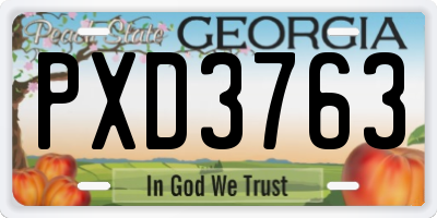 GA license plate PXD3763