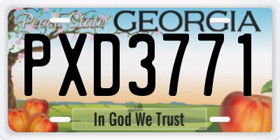 GA license plate PXD3771
