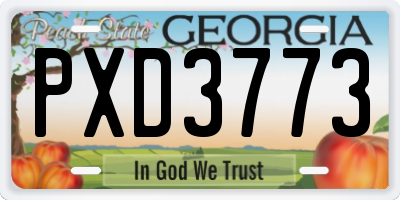 GA license plate PXD3773