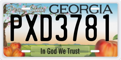 GA license plate PXD3781