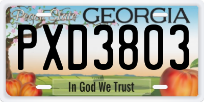 GA license plate PXD3803