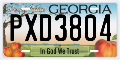 GA license plate PXD3804