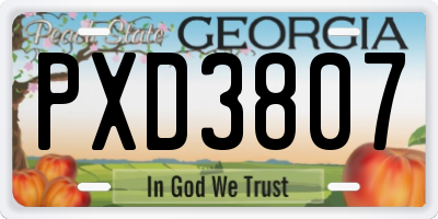 GA license plate PXD3807