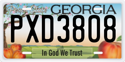 GA license plate PXD3808
