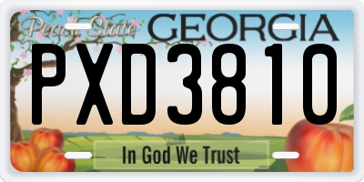 GA license plate PXD3810