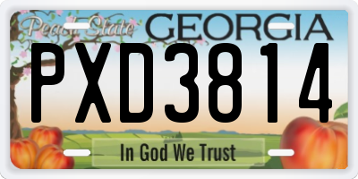 GA license plate PXD3814