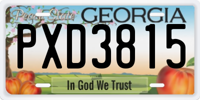 GA license plate PXD3815