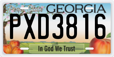 GA license plate PXD3816