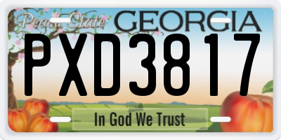 GA license plate PXD3817