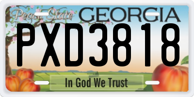 GA license plate PXD3818