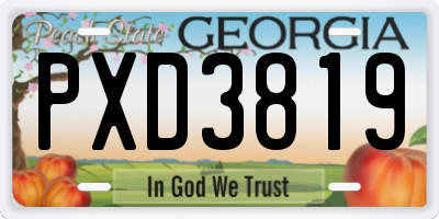 GA license plate PXD3819