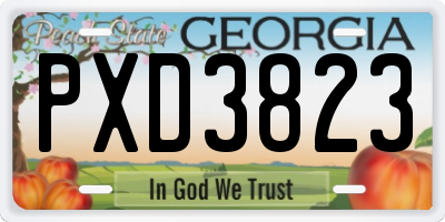 GA license plate PXD3823