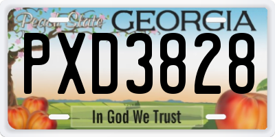 GA license plate PXD3828