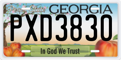 GA license plate PXD3830