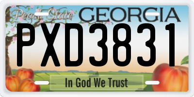 GA license plate PXD3831