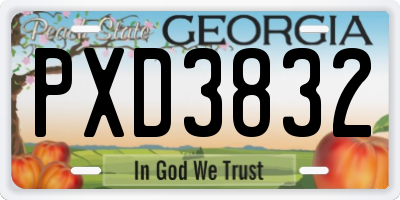 GA license plate PXD3832
