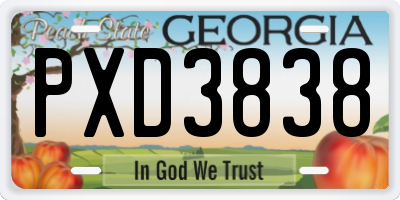 GA license plate PXD3838