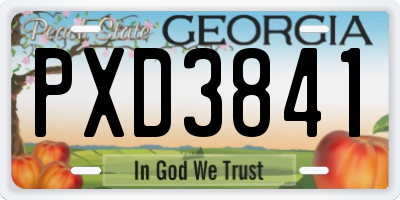 GA license plate PXD3841