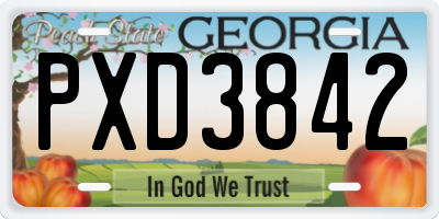 GA license plate PXD3842