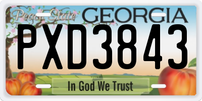 GA license plate PXD3843