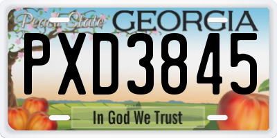 GA license plate PXD3845