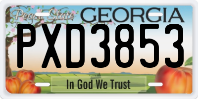 GA license plate PXD3853