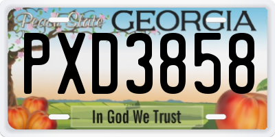 GA license plate PXD3858