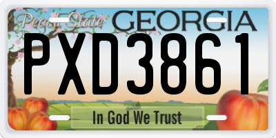 GA license plate PXD3861