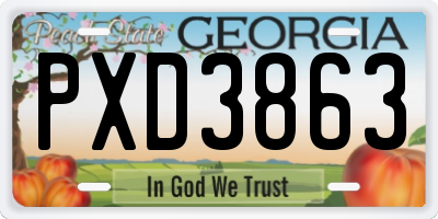 GA license plate PXD3863