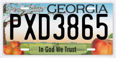 GA license plate PXD3865