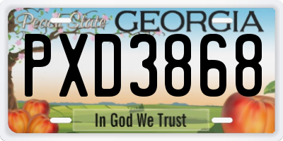 GA license plate PXD3868
