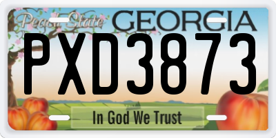 GA license plate PXD3873
