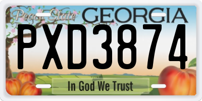 GA license plate PXD3874