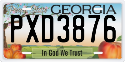 GA license plate PXD3876