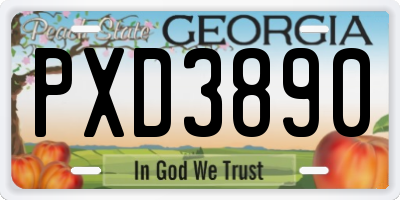 GA license plate PXD3890