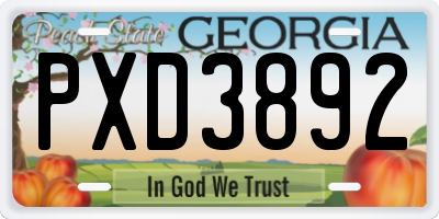 GA license plate PXD3892