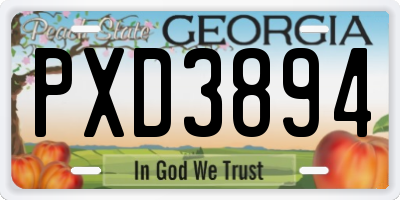 GA license plate PXD3894