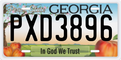 GA license plate PXD3896
