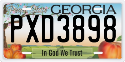 GA license plate PXD3898