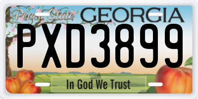 GA license plate PXD3899
