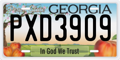 GA license plate PXD3909